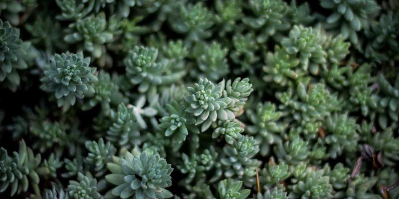 从实验室到产线:四川新达豪如何以精密加工技术为化工行业定制耐腐蚀、防爆型特种设备