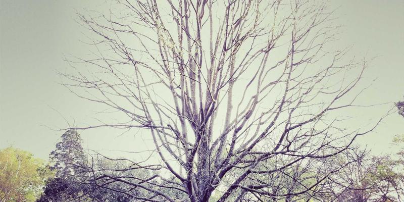 四川新达豪：以供应链协同与生态共建，重塑工业设备制造新范式