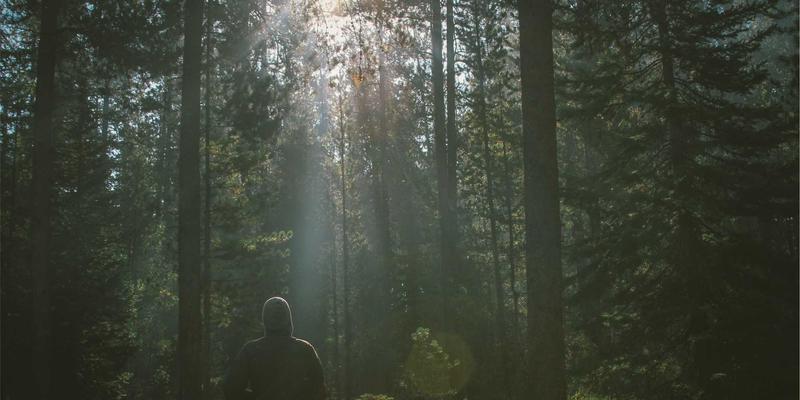 模块化设计如何破解非标自动化困局？四川新达豪的快速交付与成本优化之道