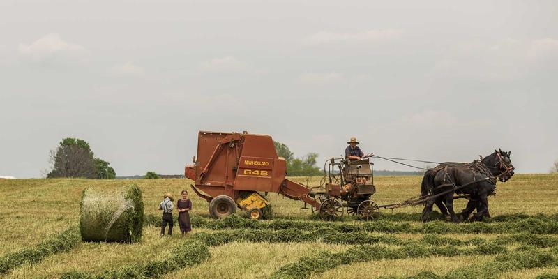 重塑工业脊梁：四川新达豪以精密加工与定制化服务，引领重型机械关键部件修复与再制造新纪元